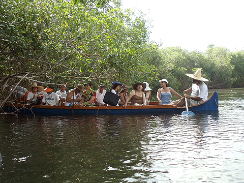 9.	Paseo en canoa por el manglar